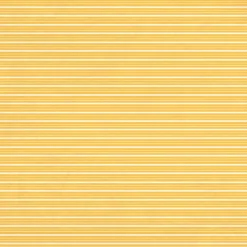 Papel Bright Bookshelf Back to School Carta Bella 30x30cm