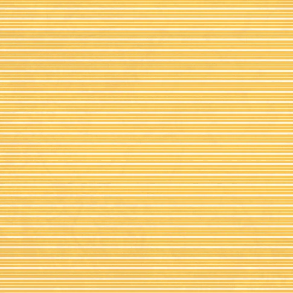 Papel Bright Bookshelf Back to School Carta Bella 30x30cm