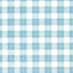 Papel Cuadritos Azules Tassotti