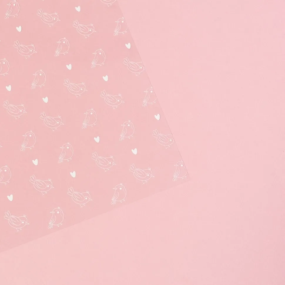 Papel de acetato Pájaros Mary Sami Garra 30x30cm