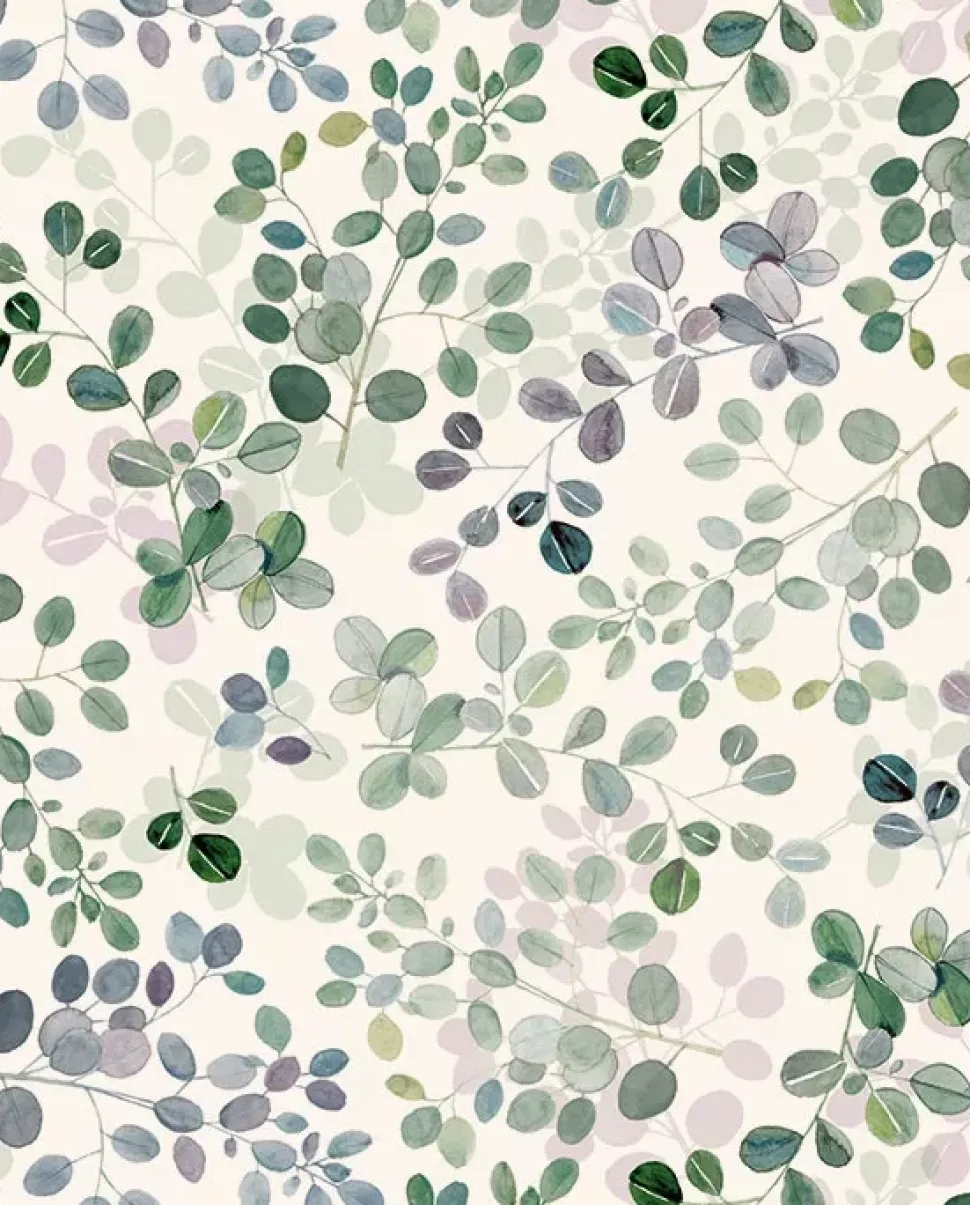 Papel Eucalipto Tassotti