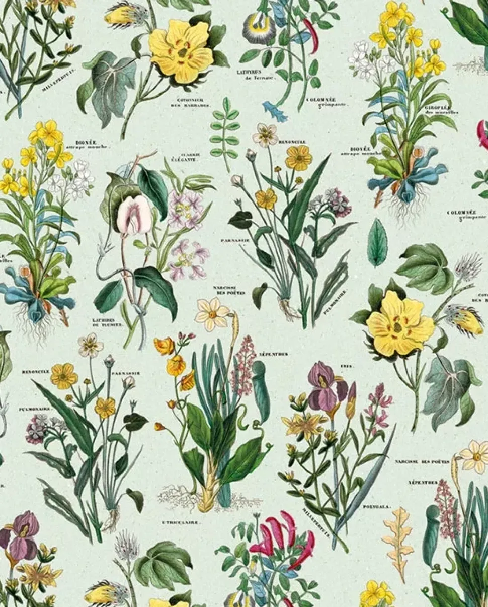 Papel Flora Tassotti