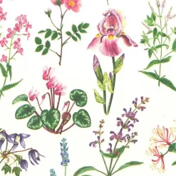 Papel Herboristería Tassotti