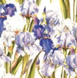 Papel Iris Tassotti