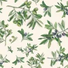 Papel Olivo Tassotti