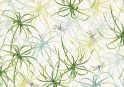 Papel Papiro Tassotti