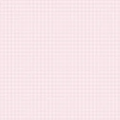 Papel Powder Pink Gingham Pastel Echo Park 30x30cm
