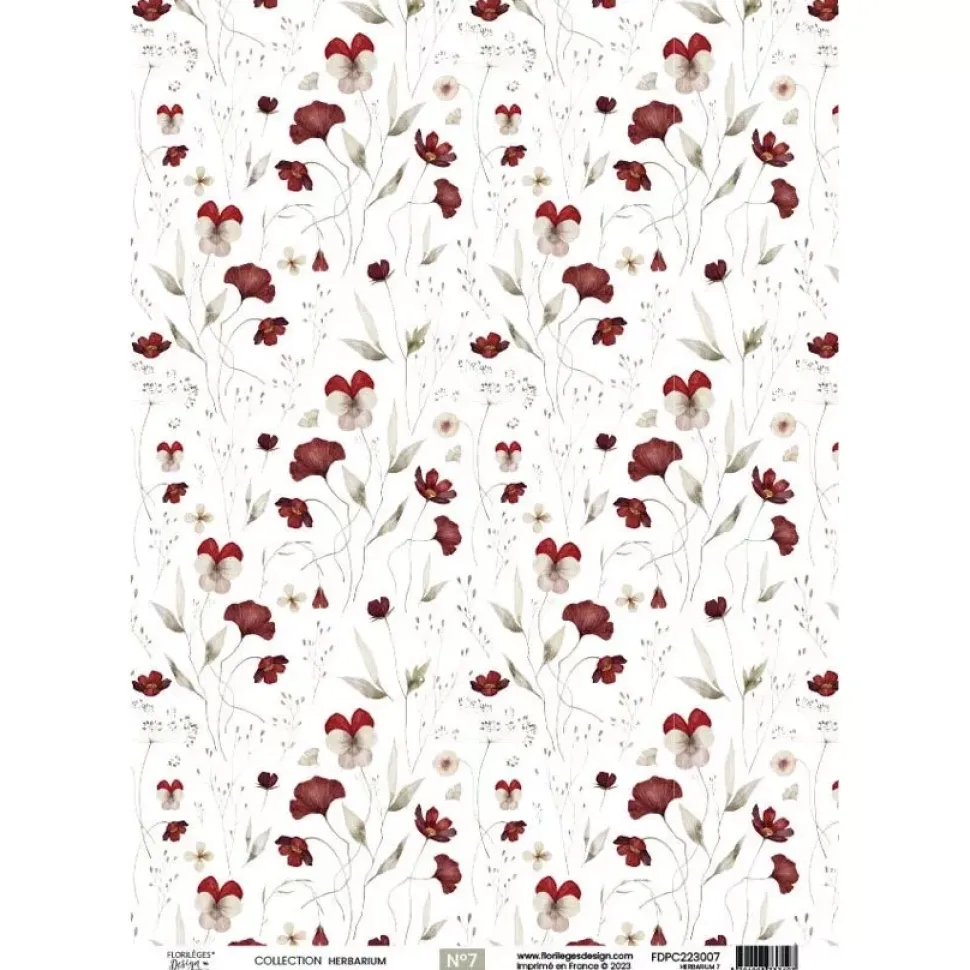 Papel vellum 08 Herbarium Florilèges Design A4