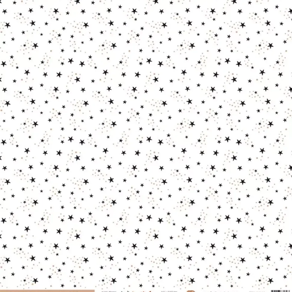 Papel Vellum Magia Enchantement Florilèges Design 30x30cm