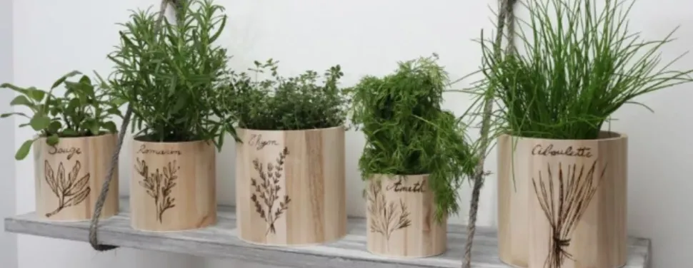 Pirograbador con 5 Puntas Artemio