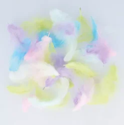 Plumas de colores Rainbow