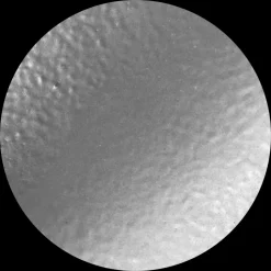 Polvos de embossing Classic Silver Nuvo