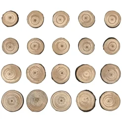 Rodajas de Madera Idea-Ology Tim Holtz