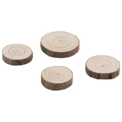 Rodajas de Madera Idea-Ology Tim Holtz