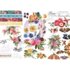 Rub-On Painted Floral Prima