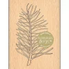 Sello de Madera Rama de Pino Enchantement Florilèges Design