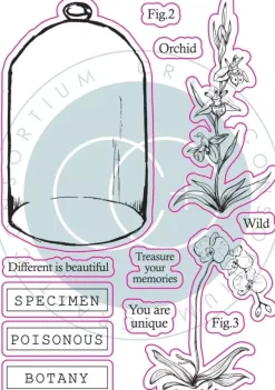 Sellos transparentes Botany The Emporium Craft Consortium