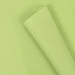 Set 2 Fieltros Verde Menta Craftelier 30x30cm