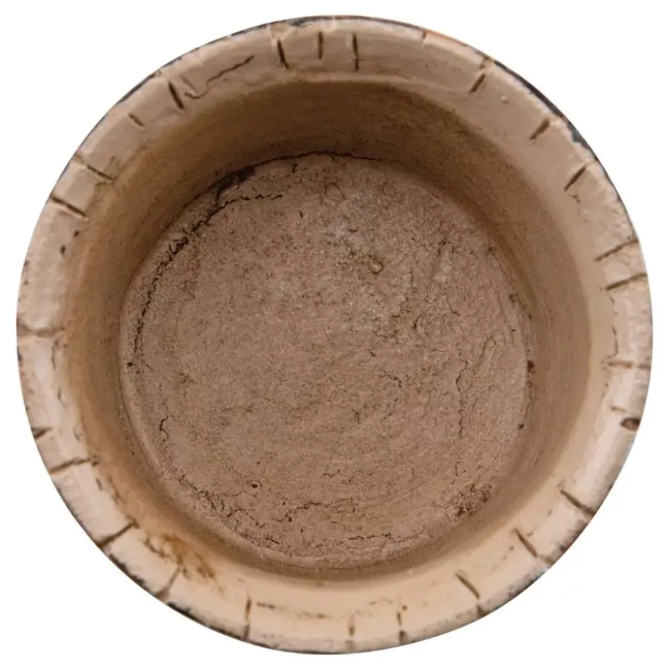 Set 2 Mini Barriles Idea-Ology Tim Holtz