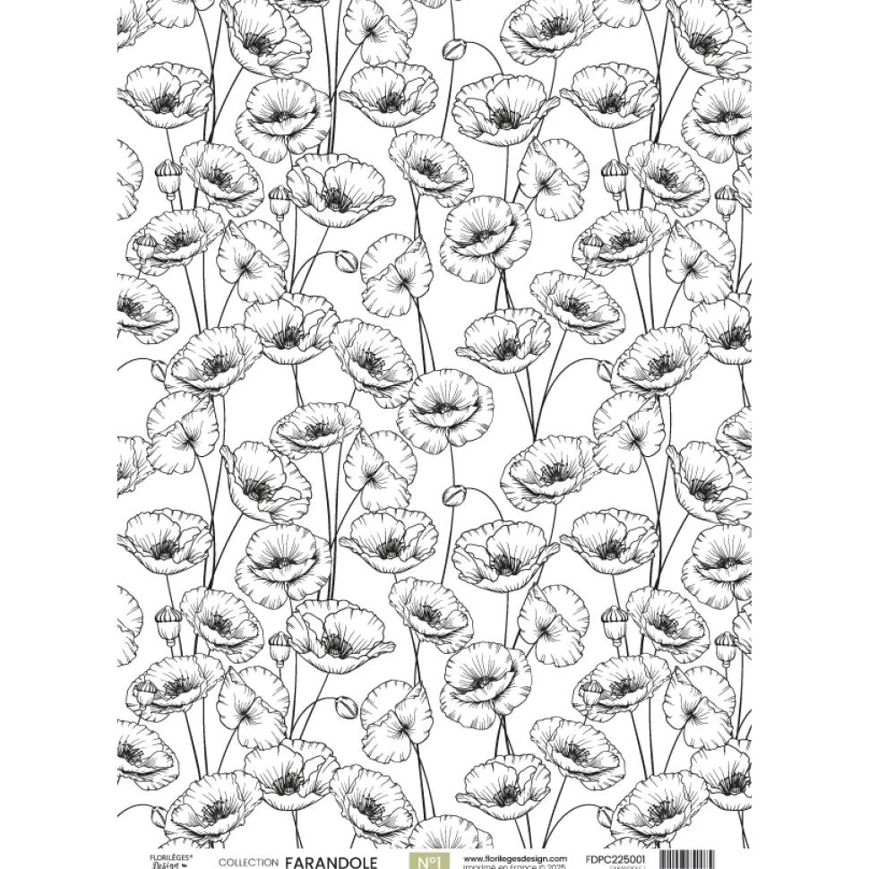 Set 4 papeles vellum Farandole Florilèges Design A4