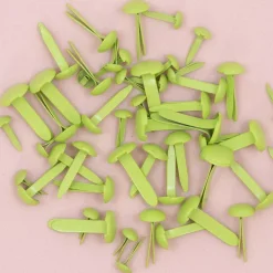 Set de 50 Brads Apple Craftelier