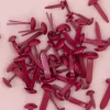 Set de 50 Brads Burgundy Craftelier