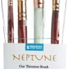 Set de 4 Pinceles 4750 Mango Corto Neptune Princeton