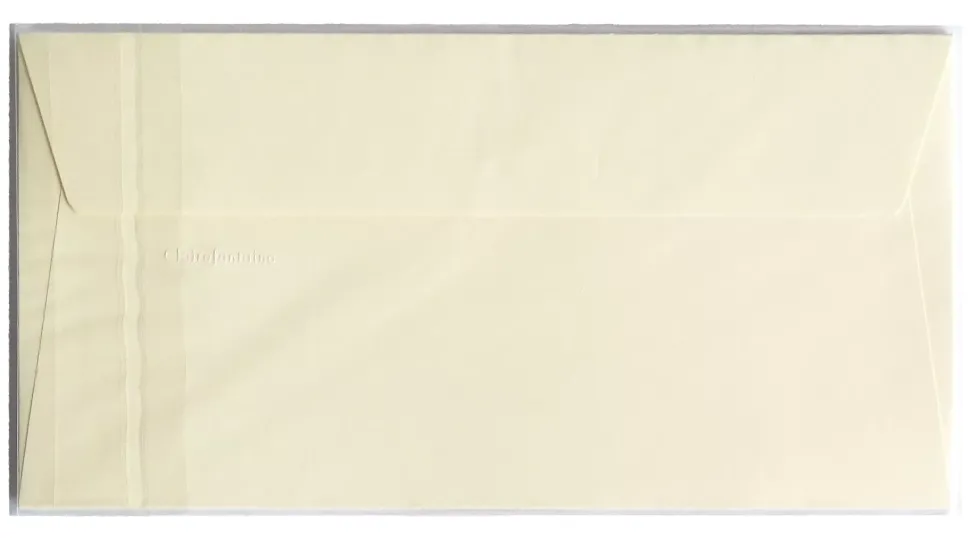 Set de 5 sobres Clairefontaine 110x220mm