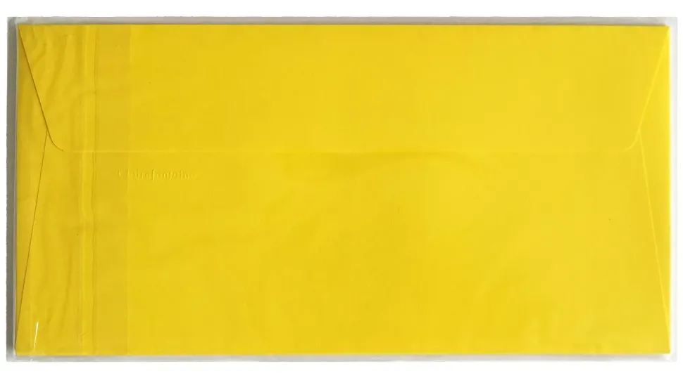 Set de 5 sobres Clairefontaine 110x220mm