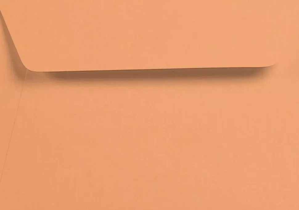 Set de 5 sobres Grain de Pollen Clairefontaine 114x162mm