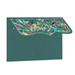 Set de mini sobres 01 Naturalist P13