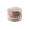 Sparkle Dust Cinnamon Spice Nuvo