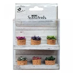 Suculentas Patio de papel Little Birdie