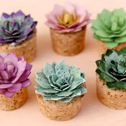 Suculentas Patio de papel Little Birdie