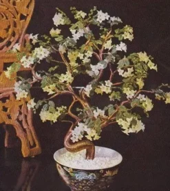 SUPER OFERTA **40%** Flor margarita opaca