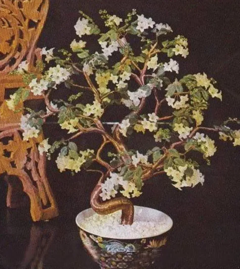 SUPER OFERTA **40%** Flor margarita opaca