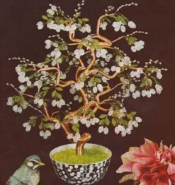 SUPER OFERTA **40%** Flor margarita opaca