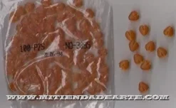 SUPER OFERTA **40%** Flor tulipán amarillo pequeño