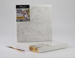 SUPER OFERTA **50%** Lienzo sobre bastidor 3D para colorear Pez Phoenix 30x30cm