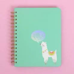 SUPER OFERTA **60%** To the point planner Llama AC