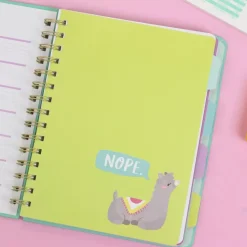 SUPER OFERTA **60%** To the point planner Llama AC