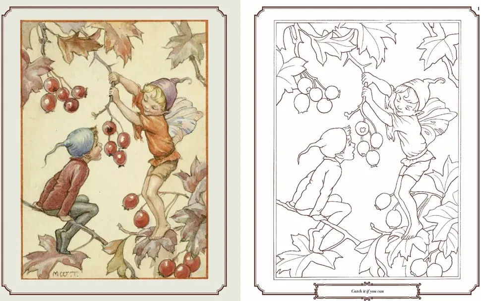 The Enchanting Fairies Colouring Book
